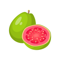 Guayaba | Guava