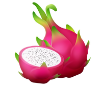 Pitaya | Dragon Fruit