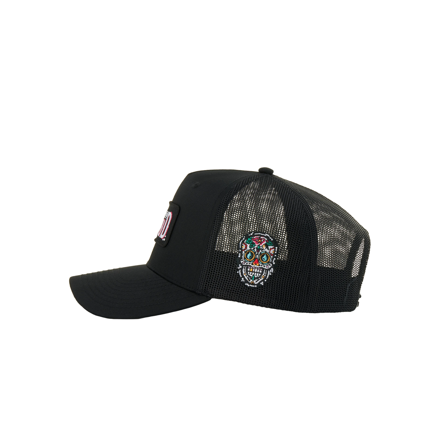 Salud Classic Snapback