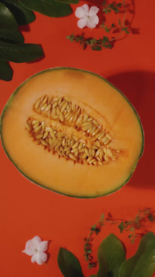 Hydration + Immunity: Melón, 15 Servings